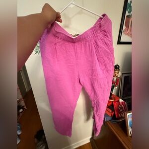 Vibrant Gap Pink Cotton Pants